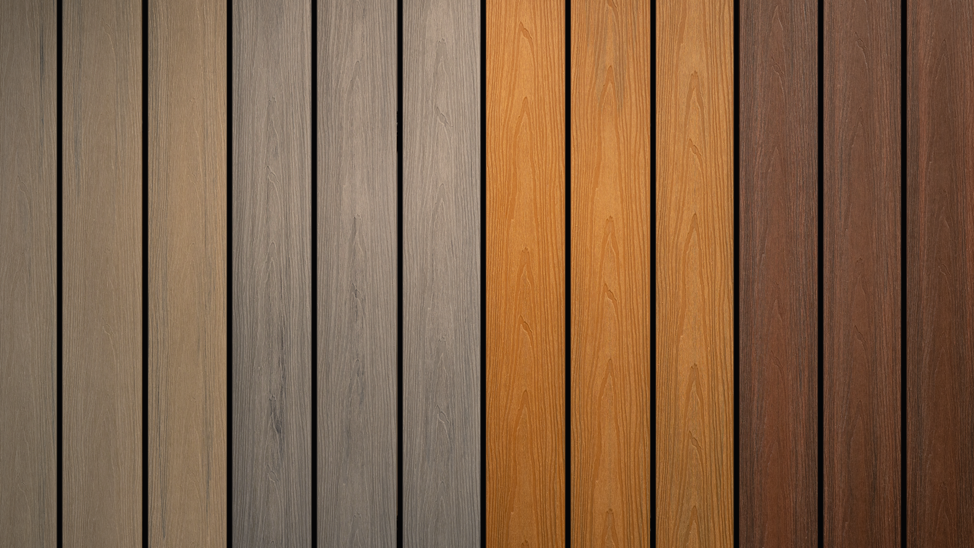 Kolaz Topshot Garden Se